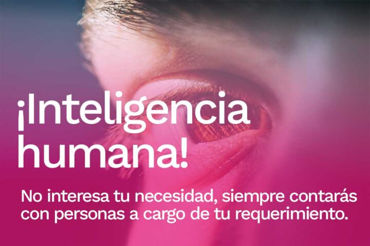 Inteligencia humana